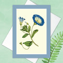 Search for vine cards Nature