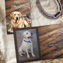 Search for dog cards Labrador retriever