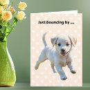 Search for dog lover get well cards Animal