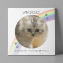 Search for guinea pig memorial Cat