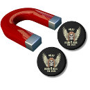 Search for pilots magnets Aircraft