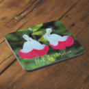 Search for perennials coasters Botanical