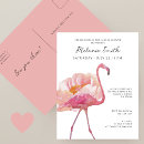 Search for flamingoe postcards For kids