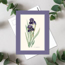 Search for bearded iris postcards Irises
