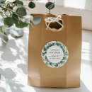 Search for eucalyptus stickers Green eucalyptus foliage