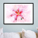 Search for stargazer lily posters Watercolor