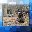 Search for dog picture puzzles Photography