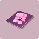 Search for pansy tiles Nature