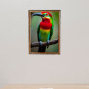 Search for birds bees posters Wildlife