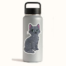 Search for galaxy cat stickers Kitty