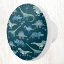 Search for dinosaur knobs and pulls Fun