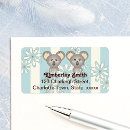 Search for koala return address labels Animal