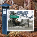 Search for yellowstone bison postcards Snow