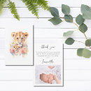 Search for cute lion postcards Baby animals