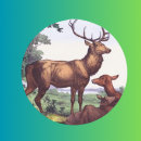 Search for white tail deer stickers Wildlife