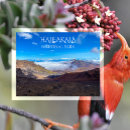 Search for hawaiian souvenirs postcards Maui