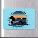 Search for common as a magnets Loon