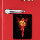 Search for flames rectangular magnets Phoenix