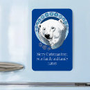 Search for snowflake magnets Bear