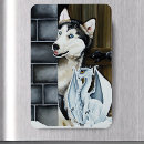 Search for adventure magnets Winter