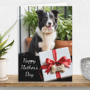 Search for pet mothers day cards From the dog