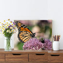 Search for beautiful monarch butterfly posters Orange