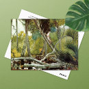 Search for jungles postcards Nature