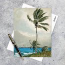 Search for palm tree postcards Landscape