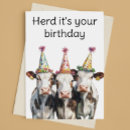 Search for funny cow birthday cards Herd it's your birthday