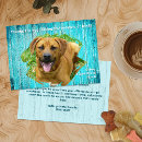 Search for volunteer thank you cards Animal shelter