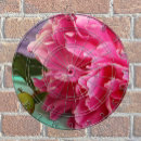 Search for photography dartboards Cute