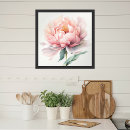 Search for peach floral posters Peonies