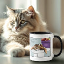 Search for cat treats mugs Orange