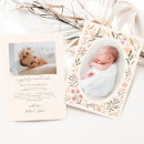 Search for flower meadow postcards Whimsical