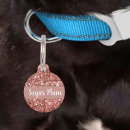 Search for pretty dog collars Glitter
