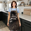Search for raccoon aprons Nature