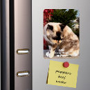 Search for in loving memory magnets Pet
