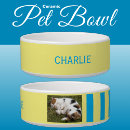 Search for photo pet bowls Pets