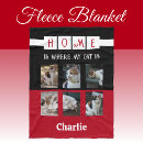 Search for photo with animals blankets Cats