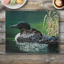 Search for loon puzzles Lake