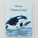 Search for killer whales cards Dolphin