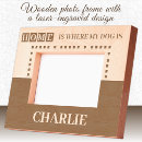 Search for picture frames Cat