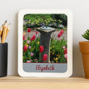 Search for spring daffodils magnets Garden