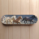 Search for surf skateboards Splash