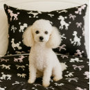 Search for poodle cushions Girly