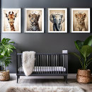 Search for photo nursery decor Baby lion