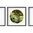 Search for stream photography Outdoors