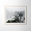 Search for tree posters Silhouette