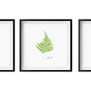 Search for for lady posters Illustration