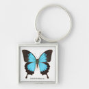 Search for butterfly pics key rings Smithsonian